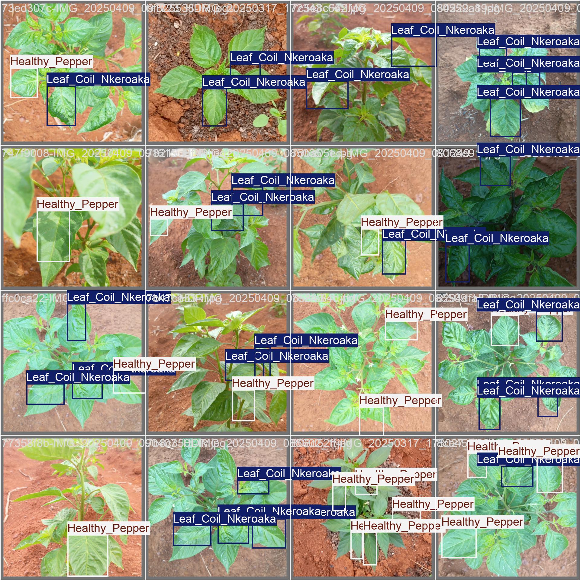 Agricverse