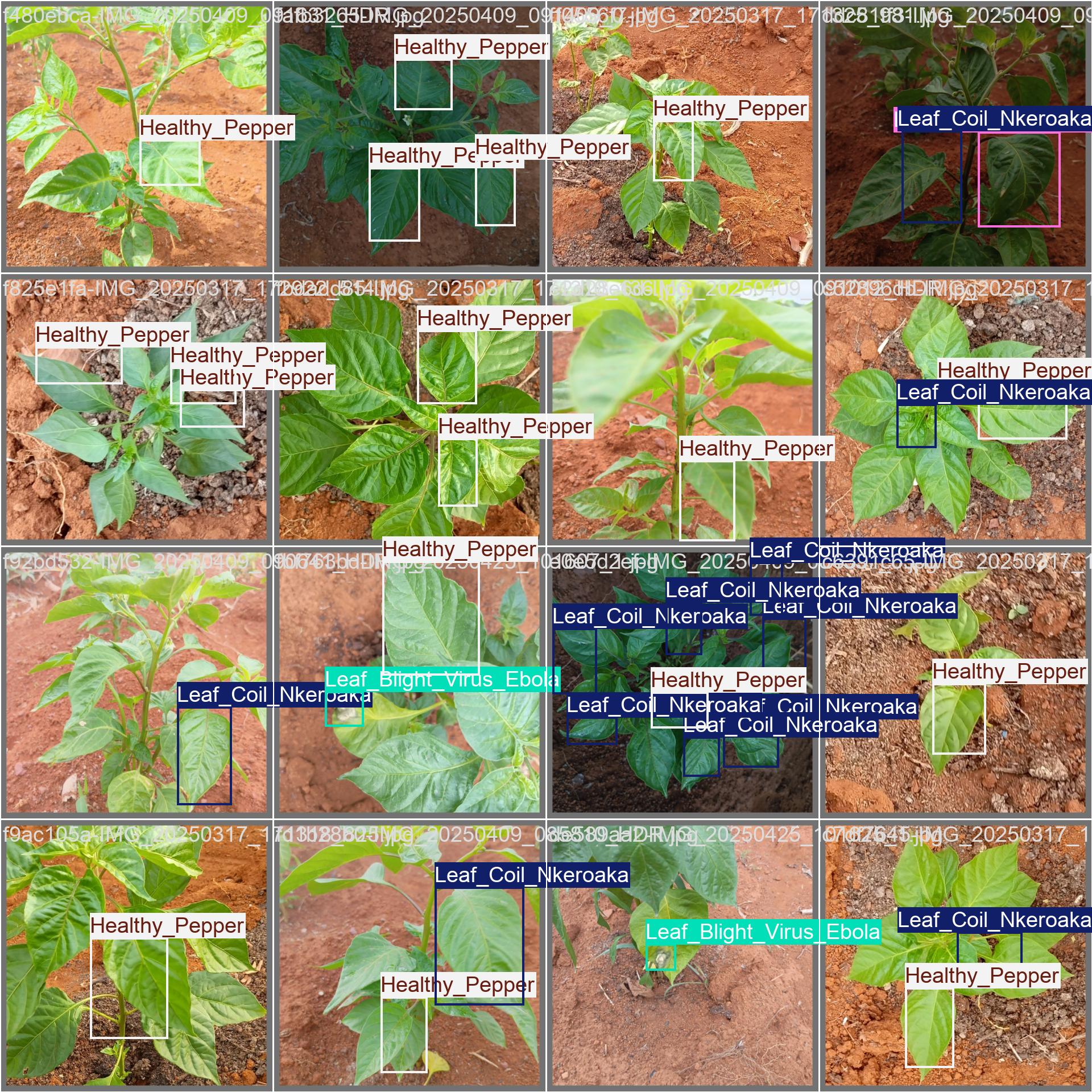 Agricverse